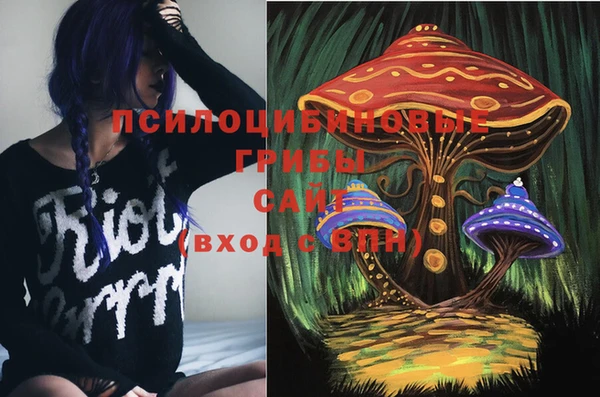твердый Горняк