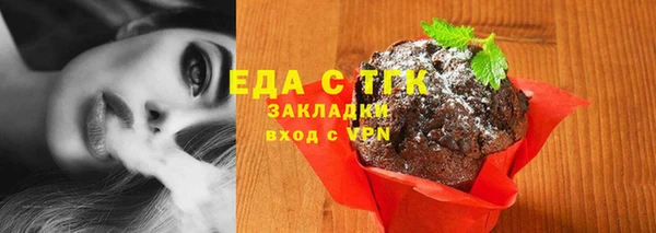 твердый Горняк