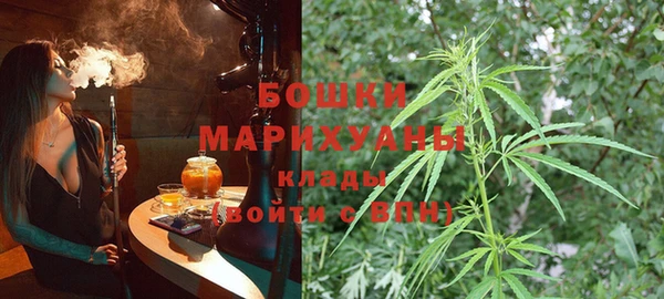 твердый Горняк