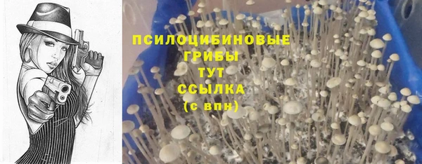 спайс Горнозаводск