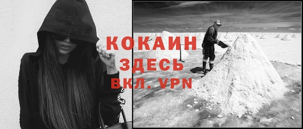 твердый Горняк