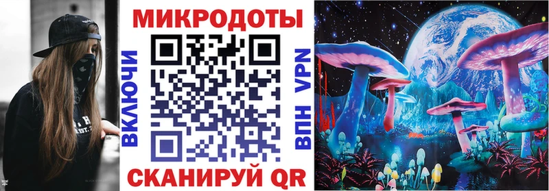 Галлюциногенные грибы Magic Shrooms  Купить  Приморск 
